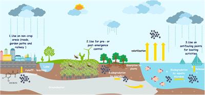 Emerging Strategies for the Bioremediation of the Phenylurea Herbicide Diuron